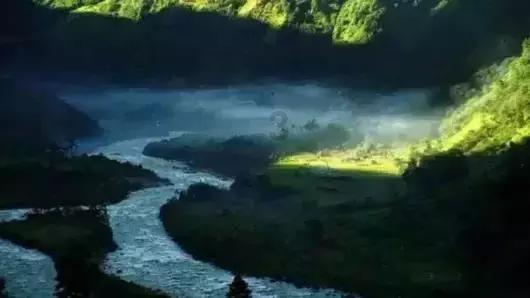 森林之神萨梯