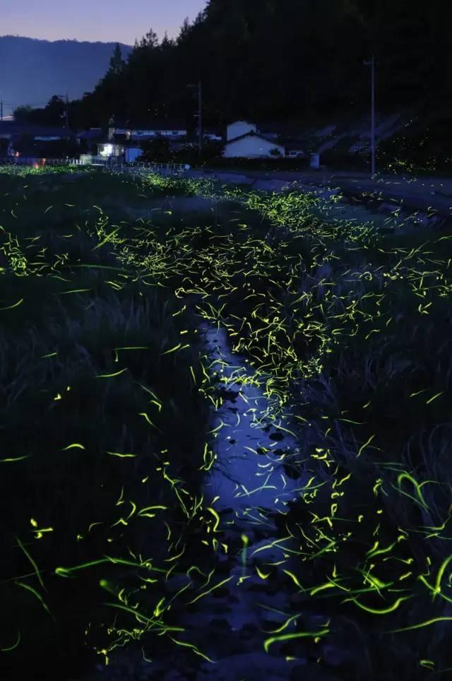 清明节的起源是什么意思呀？游戏画面