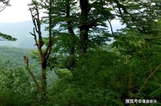 算术24点
