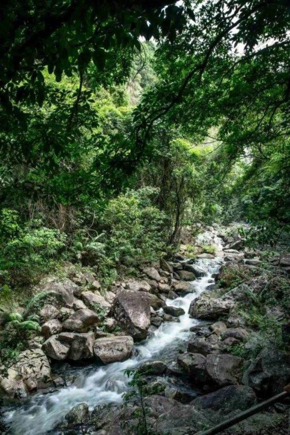 「帮帮团」踏春行动—五城之争现金瓜分活动怎么参与？游戏画面