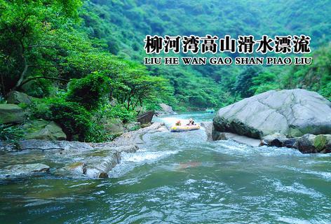 国足选帅或可参考这些模板