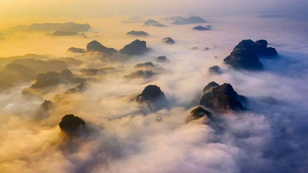 组装机械恐龙3